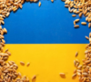 EU postigla dogovor o produženju bescarinskog režima za ukrajinske poljoprivredne proizvode