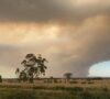 Šumski požari izmiču kontroli: Na području Australije evakuacija hiljade ljudi