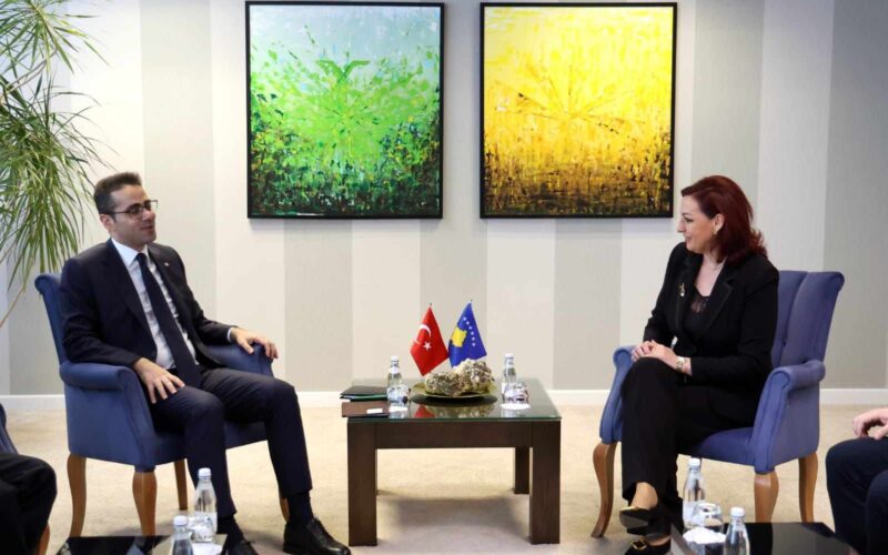 Zamenica premijera Redžepi, sastala se sa zamenikom Ministra spoljnih poslova Republike Turske