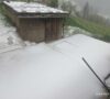 Temperatura pala za 20°C: U Zagrebu jak vjetar rušio stabla…, u Sloveniji pao snijeg