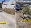 Uznemirujući snimak u Turskoj / Vezao komšiju koji mu je ubio psa, i automobilom ga vukao nekoliko niz ulicu