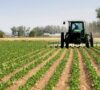Radosna vijest za poljoprivrednike, danas počinje izvršenje isplata za subvencije